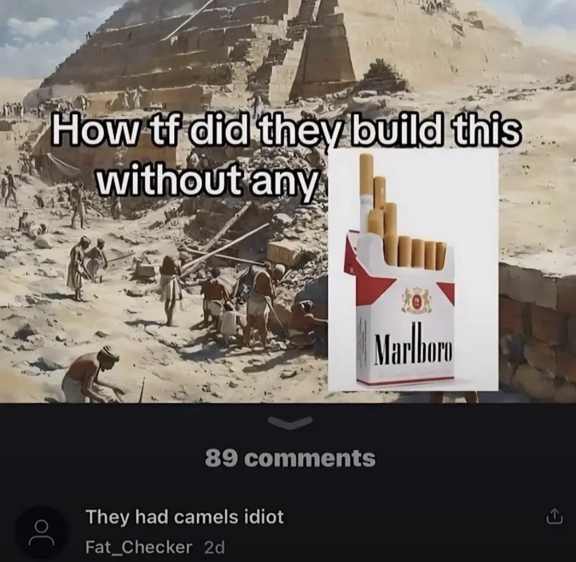 what brand did they use
