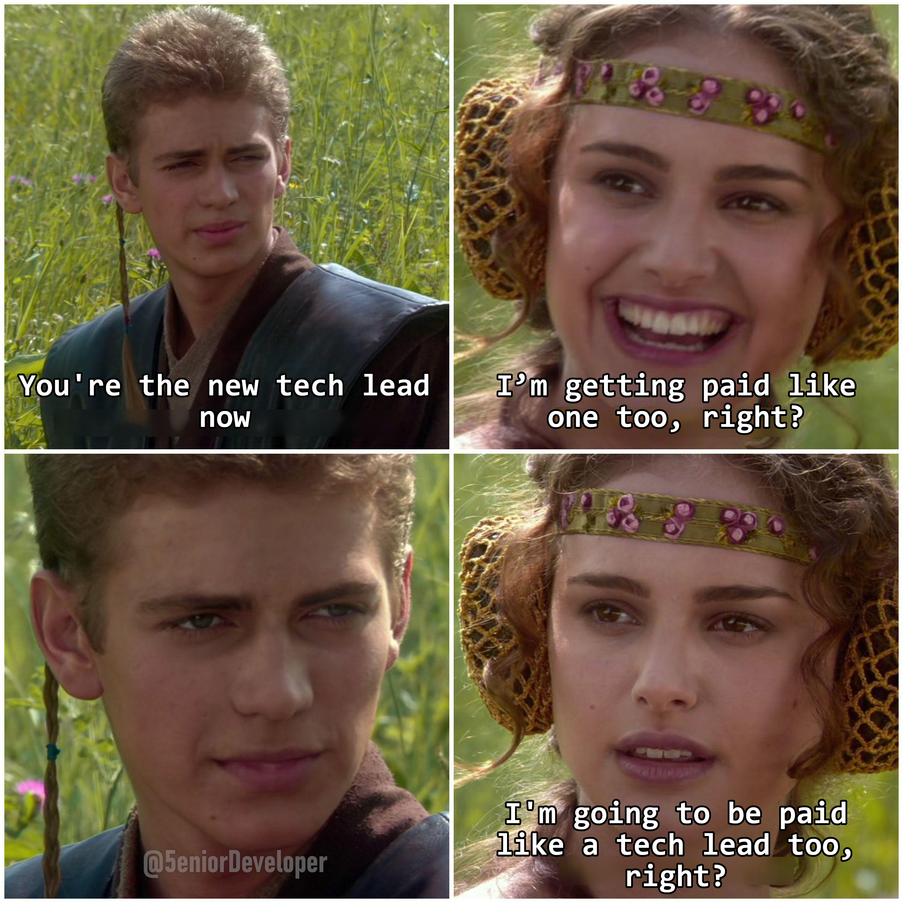 Two characters in a field discussing tech lead promotion: one says 'You're the new tech lead now,' and the other questions, 'I'm like a tech lead too, right?'