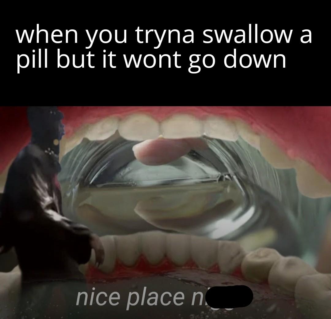 Image of a person inside a mouth with text 'when you tryna swallow a pill but it wont go down' and 'nice place n---'
