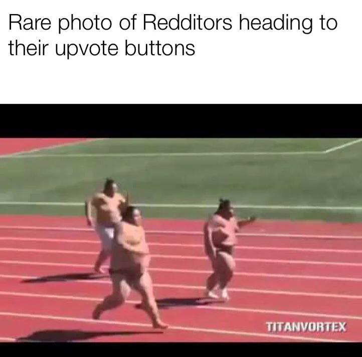 Three sumo wrestlers running on track field with text 'Rare photo of Redditors heading to their upvote buttons'.